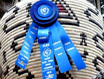 Tressa Curtis Navajo/Paiute Basket 2010 Blue Ribbon  